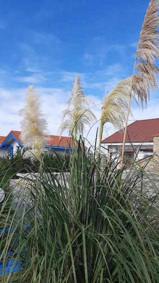 Hotel Complex Turistic Essenza Murighiol Exterior foto